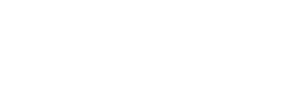DS